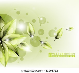eps10 vector abstract green leaves design