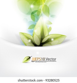 eps10 vector abstract leaf concept design