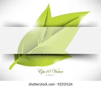 eps10 vector abstract leaf illustration