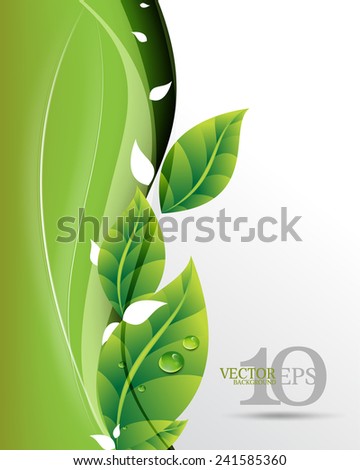 eps10 vector beautiful green leaves on waving elegant business background