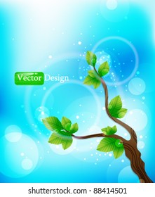 Eps10 Vector Colorful Background with Branch and Leaves Design