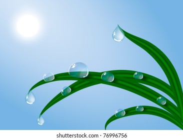 EPS10 vector dew Sunrise and fresh dewy grass. Sunny day concept. svg