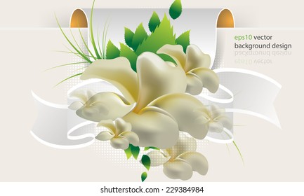 eps10 vector elegant frangipani flower with green leaves invitation background