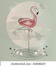 Eps10 vector - Flamingo on a green and pink background