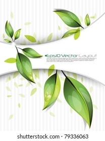 eps10 vector green leaves modern design