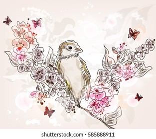 Eps10 vector - Hand drawn spring scenery with sparrow and floral branches