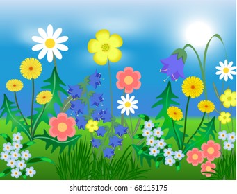 EPS10 vector illustration Bright wild flowers against the sky and a grass