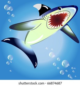 EPS10 vector illustration. shark