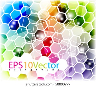 Eps10 Vector Layout