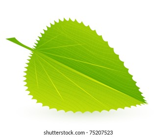 Eps10 vector lead background