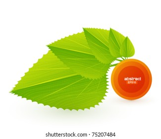 Eps10 vector leaf background