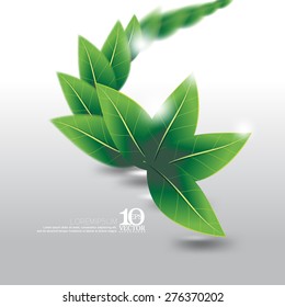 eps10 vector leaves element ecology nature background