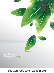 eps10 vector overlapping falling green leaves background