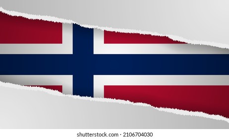 EPS10 Vector Fondo patriótico con colores de bandera noruega. Un elemento de impacto para el uso que desea hacer de él.