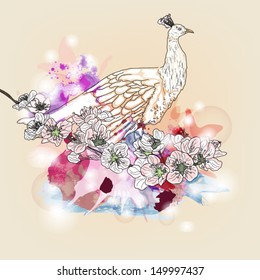 EPS10 vector - peacock on a floral branch with watercolor stains and space for text