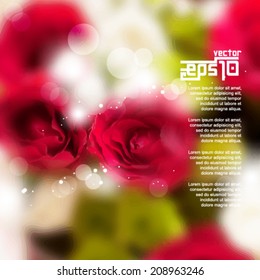 eps10 vector realistic blurred roses wedding and anniversary background