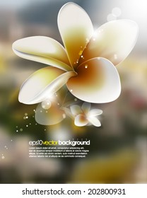 eps10 vector realistic flower on blurred background
