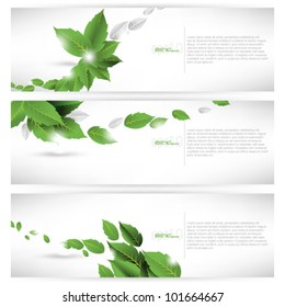 eps10 vector set of leaf concept banner background