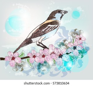 Eps10 vector - Spring scenery with sparrow on a floral branch