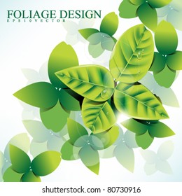 eps10 vector top view leaves concept design
