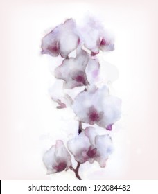 Eps10 vector - Watercolor orchid 