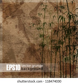 EPS10 vintage bamboo background