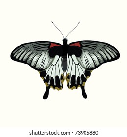 EPS10 White and red butterfly