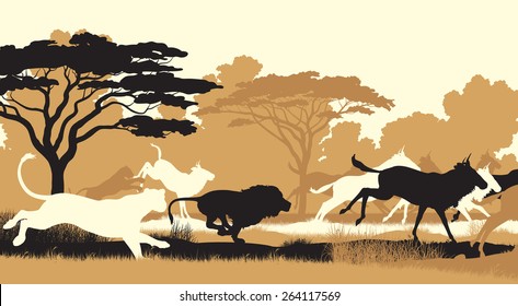 EPS8 editable vector cutout illustration of lions chasing a herd of wildebeest