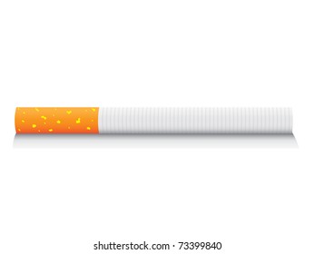 eps8 vector isolated cigarette - detailed realistic illustration
