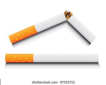 eps8 vector isolated normal and broken cigarette - detailed realistic illustration