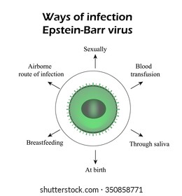 Epstein-Barr virus. Methods of infection. Infographics. Vector illustration.