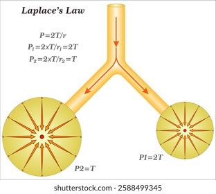 Laplace’s equation, second-order partial differential equation widely useful in physics because its solutions occur in problems of electrical, magnetic, and gravitational potentials,