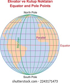 Equator and Pole Points, education illustrator