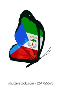 Equatorial Guinea flag butterfly - vector