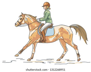 Equestrian, horseback riding, young girl is riding a pony.