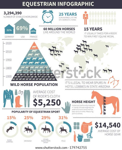 Equestrian Infographic Different Horse Related Elements Stock Vector ...