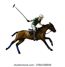 Equestrian polo with a jockey from splash of watercolors, colored drawing, realistic, Horseback riding. Vector illustration of paints