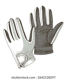 Equestrian riding gloves hand drawn illustration
