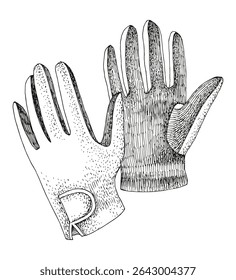 Equestrian riding gloves hand drawn illustration