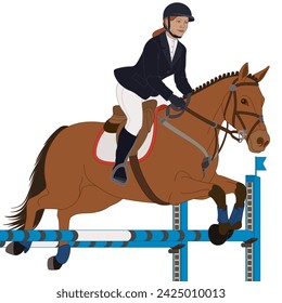 equestrian show jumping, female rider guiding her horse jumping over an obstacle isolated on a white background