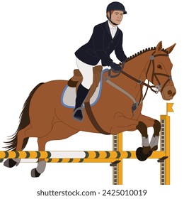 equestrian show jumping, male rider guiding his horse jumping over an obstacle isolated on a white background