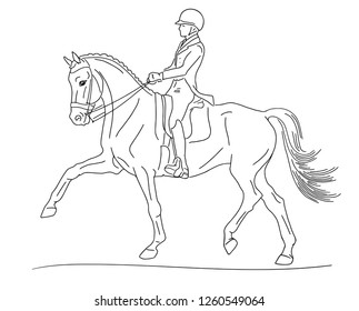 Equestrian sport, advanced dressage test, expression trot 