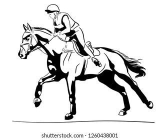 Equestrian sport, eventing. Rider cantering on a horse.