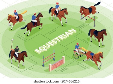 Equestrian sport flowchart with horse racing symbols isometric vector illustration