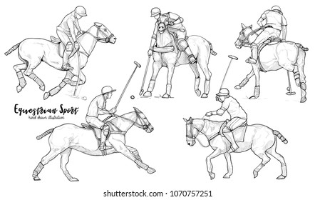 equestrian sport. Horse polo player in action drawing vector set.