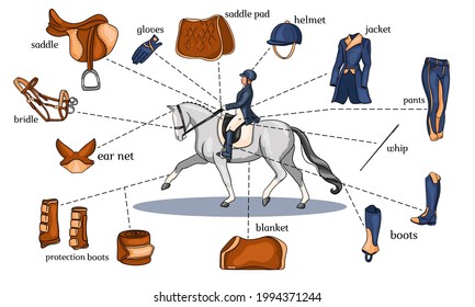 Equestrian sport infographics horse harness and rider equipment in the center of a rider on a horse in cartoon style. Set of vector illustrations for training and decoration.