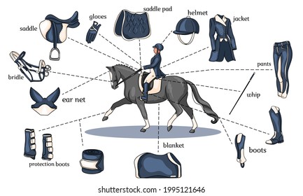 Infografía deportiva ecuestre de jaulas y equipo de jinete en el centro de un jinete a caballo al estilo de los dibujos animados. Conjunto de ilustraciones vectoriales para entrenamiento y decoración.