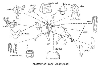 Equestrian sport infographics horse harness and rider equipment in the center of a rider on a horse in line style coloring books. Set of vector illustrations for training and decoration.