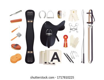 Equestrian sport items, dressage harness essentials and horse grooming tools
