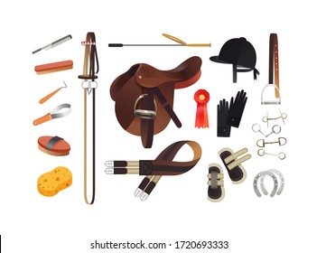 Equestrian sport items, English horse riding essentials and horse grooming tools